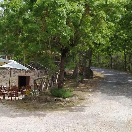 La Monaldesca
